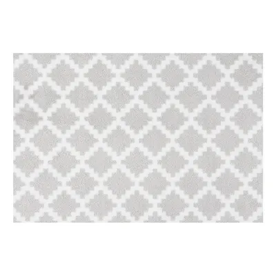Covoraș intrare Zala Living Elegance, 50 x 70 cm, gri deschis