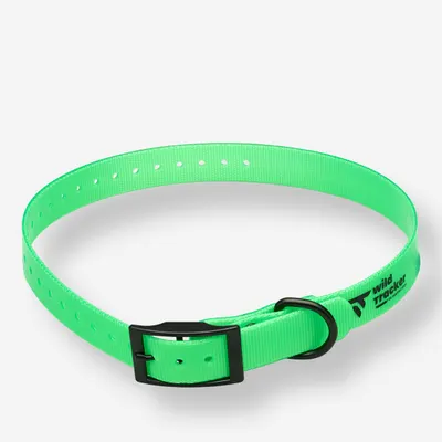 Zgardă Câine X-Pert Verde
