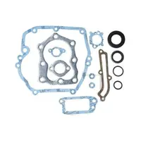Set de garnituri Briggs-Stratton Quantum engines