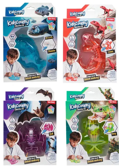 Trusă științifică ohntoy - Science Explorer, pentru disecție, sortiment