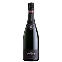 Vin Spumant Brut Maximum Blanc De Blancs Ferrari DOC 0.75l