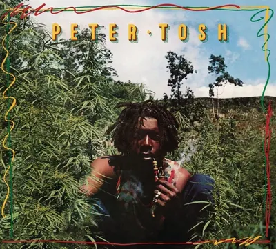 Legalize It - Vinyl