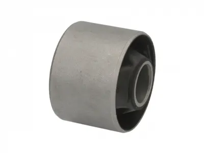 Suport diferential spate (54,3x) TOYOTA RAV 4 I, RAV 4 II 1.8 2.0 2.0D intre 1994-2005