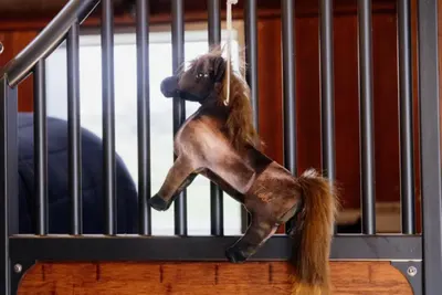 Kentucky Relax Horse Toy - Tableux
