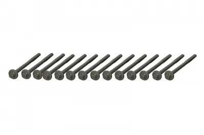Set surub chiulasa potrivit BMW 3 (F31), 5 (F10), 5 (F11), 5 (G30, F90), 5 (G31), 7 (F01, F02, F03, F04), 7 (G11, G12), X5 (E70), X5 (F15, F85), X5 (G05 3.0D 08.11