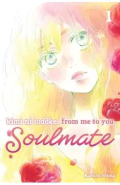 Kimi Ni Todoke: From Me to You: Soulmate, Vol. 1