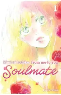 Kimi Ni Todoke: From Me to You: Soulmate, Vol. 1