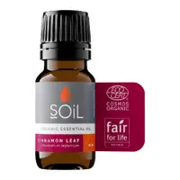 Ulei Esential Scortisoara (Cinnamomum zeylanicum) 100% Organic Ecocert, 10ml, Soil