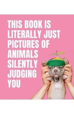 This Book Is Literally Just Pictures of Animals Silently Judging You