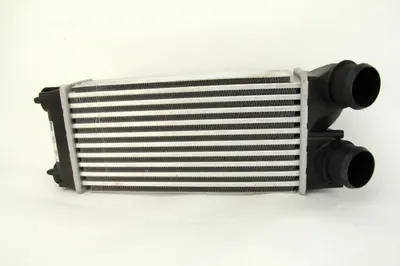 Intercooler Citroen Berlingo, C4, C4 I; Peugeot 3008, 308 I, 308 Sw I, 5008, Partner, Partner Tepee 1.6d Dupa 2004