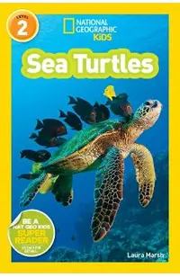 Sea Turtles