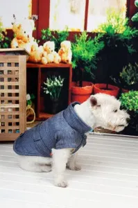 Geaca Dandy - Denim - XS