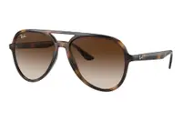Ray-Ban RB4376 710/13