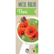 Micul biolog. Flori