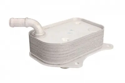 Termoflot radiator ulei (85x45x138) AUDI A4, A6; VW PASSAT 2.0 intre 2000-2008