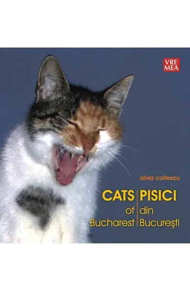 Pisici din București - Cats of Bucharest - Paperback brosat - Silvia Colfescu