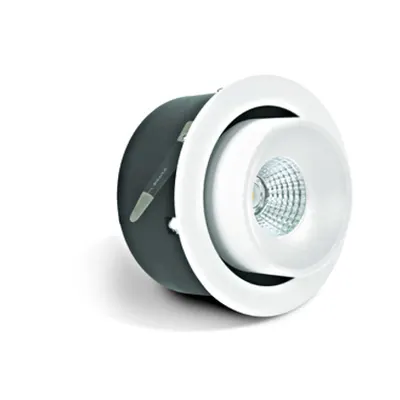 Riko-R COB LED 14W 4000K 1100lm, 36°, 700mA, IP20, alb