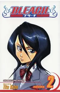 Bleach, Vol. 2, 2