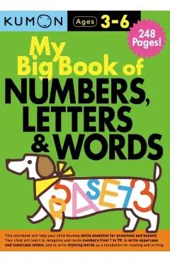 My Big Book of Numbers, Letters & Words