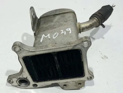 Racitor gaze V29001603 Renault Megane 3 (2008-2012) 1.9 dci