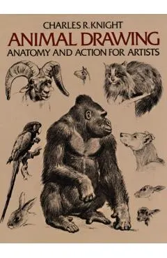 Animal Drawing: Its Origins, Ancient Forms and Modern Usage
