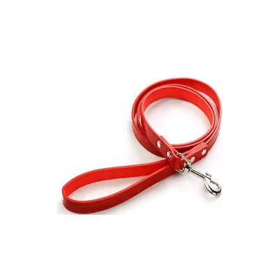 Lesa din piele, rosie, pentru caini de talie medie si mare, latime 20 mm, lungime 1,2 m