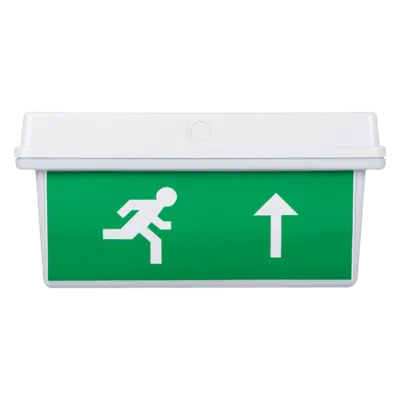 Lampa Exit LED IP65 30x0.1W Display Sus