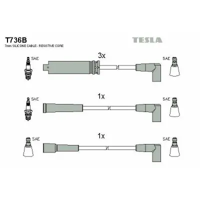 Set cablaj aprindere TESLA T736B