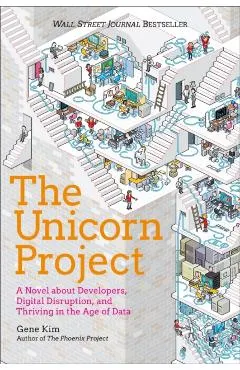 Unicorn Project