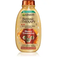 Garnier Botanic Therapy șampon fortifiant pentru păr deteriorat 250 ml
