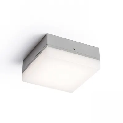 SPECTACLE Corp de iluminat aparent gri argintiu 230V LED 5W IP54 3000K