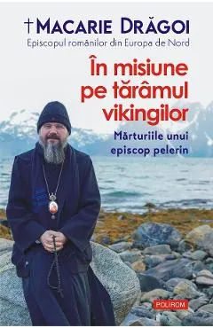 eBook In misiune pe taramul vikingilor