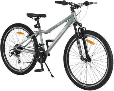 Bicicletă Byox - Avenue, 26'', gri
