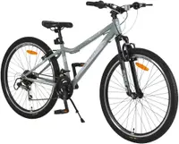 Bicicletă Byox - Avenue, 26'', gri