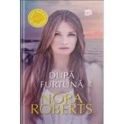Dupa furtuna