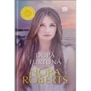 Dupa furtuna