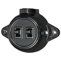 Antique Two Button One Way Switch 10а 250v Black