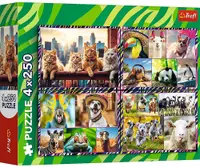 Puzzle Trefl din 4 x 250 piese - Animale amuzante