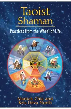 Taoist Shaman: Practices from the Wheel of Life