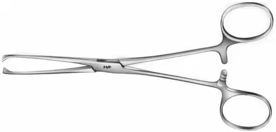 Pensa intestinala Allis, 5 x 6 dinti, dreapta, lungime 155 mm