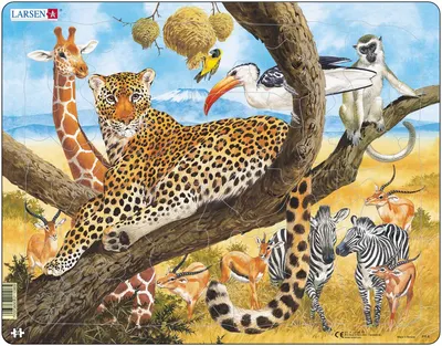 Puzzle 48 piese - Maxi - Life on the Forest Floor