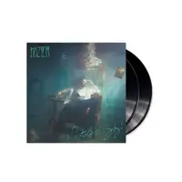Wasteland, Baby! - Vinyl