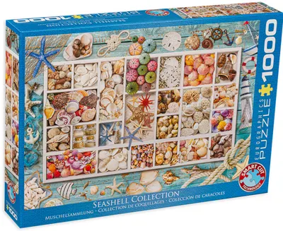 Puzzle Eurographics din 1000 de piese - Seashell Collection
