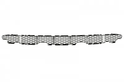 Grila bara fata (inferior, plastic, argintiu) BMW X5 (E53) intre 2003-2006