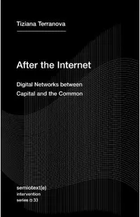 After the Internet: Digital Networks Between Capital and the Common