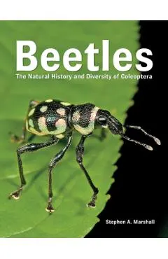 Beetles: The Natural History and Diversity of Coleoptera