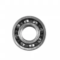 Rulment drujba 6202, Elefant