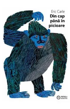 Din cap pana in picioare. From Head to Toe