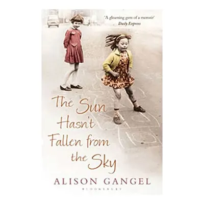 The Sun Hasn't Fallen From the Sky