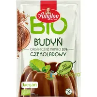 Budinca Pudra de Cacao fara Gluten Ecologica/Bio 40g